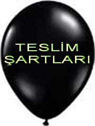 istanbul balon teslimat �artlar�m�z